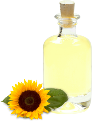 Bio Naturland Sonnenblumenöl ölsäurereich HO raffiniert